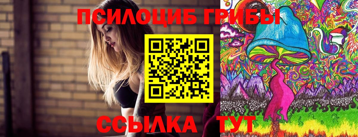 Псилоцибиновые грибы прущие грибы Свободный