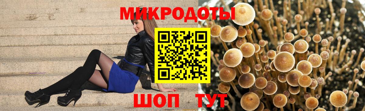 Псилоцибиновые грибы мухоморы  Галлюциногенные грибы мухоморы  Свободный  Вход с VPN 